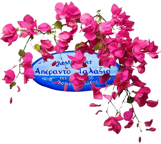 Getting Here 4 aperanto galazio estiatorio skiathos